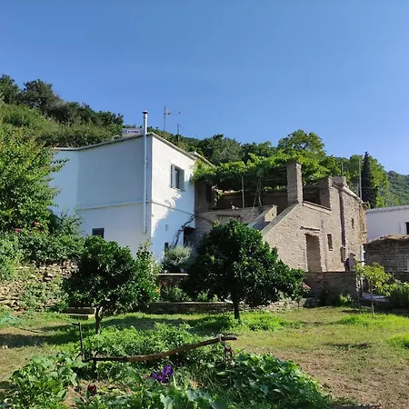 Η Μικρή Ελβετία Της Άνδρου Est1900 The Writer'S Retreat * Arni (Andros)