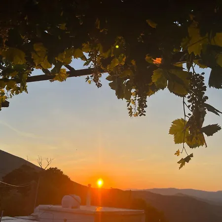 η μικρή ελβετία της άνδρου Est1900 The Writer's Retreat