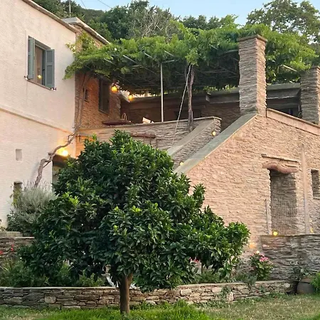 Η Μικρή Ελβετία Της Άνδρου Est1900 The Writer'S Retreat *