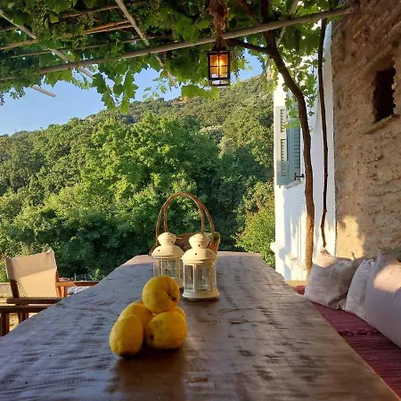 Holiday home Η Μικρή Ελβετία Της Άνδρου Est1900 The Writer'S Retreat Arni (Andros)